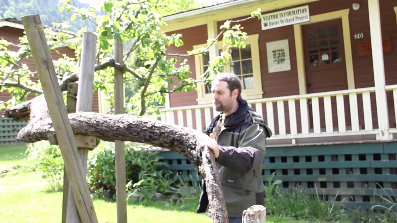 Dynamics of Complex Living Systems