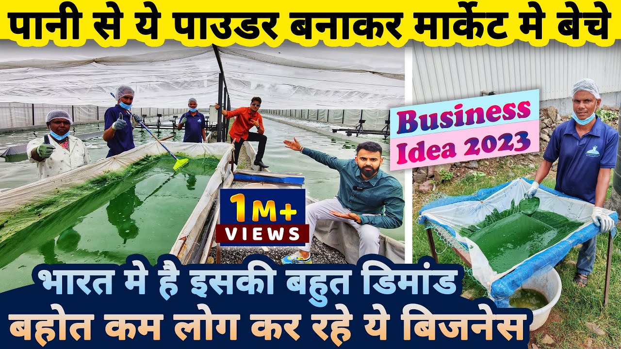 पानी से ये पाउडर बनाकर मार्केट मे बेचे, और बनाएं बड़ा बिज़नेस🌏| business ideas | spirulina farming