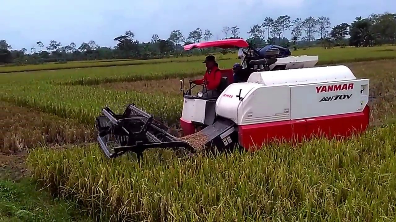 MESIN PANEN COMBINE AW 70 V