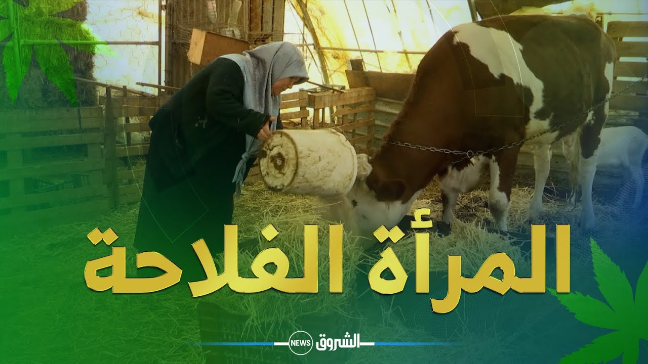 خيرات بلادي☘  | المـــرأة الفـــلاحة