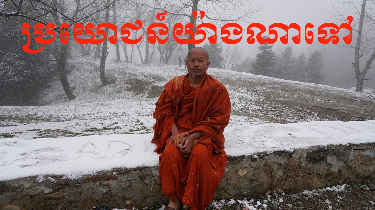 ប្រយោជន៍មានន័យយ៉ាងណា