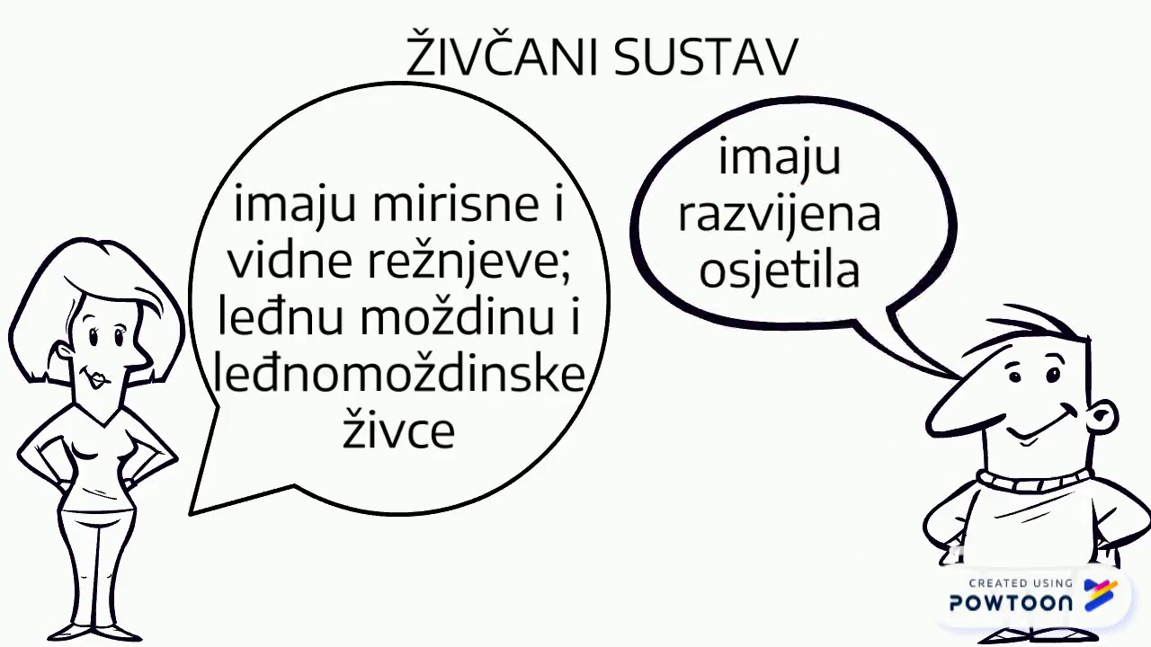 VODOZEMCI:aksolotl