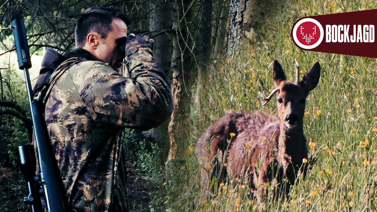 Bockjagd 2025  🌿 – Zur Pirschjagd und Ansitzjagd auf den Pendelstangenbock
