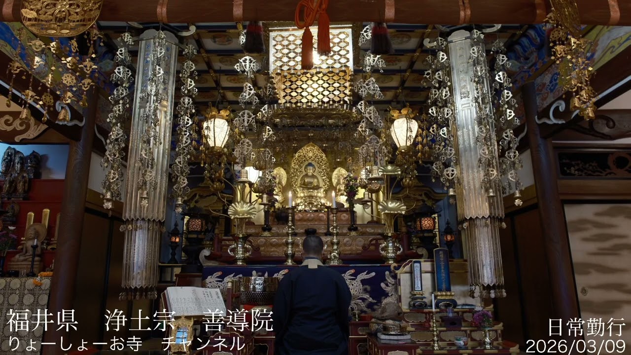 【疲れた心に癒やしの時間を】 毎日 お経配信 2164日目　福井　浄土宗　善導院/ Every day Japanese buddhism service