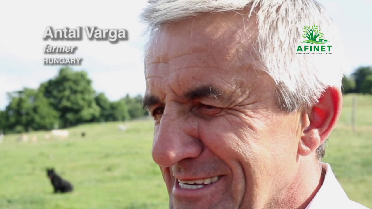 Agroforestry in Europe (full film)