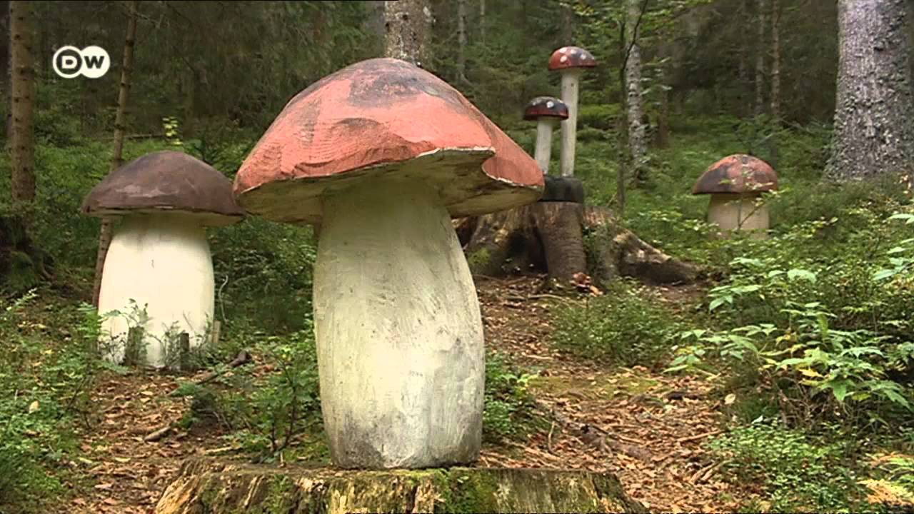 Tres sugerencias para conocer la Selva Negra | Destino Alemania