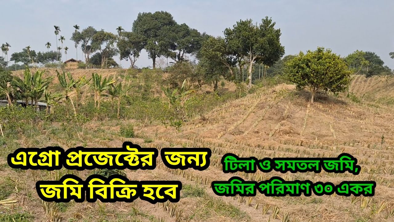 জমি বিক্রি হবে প্রাকৃতিক সৌন্দর্যে ঘেরা ৩০ একর বিশাল জমি  সমতল,উঁচু-নিচু টিলা  সহ 