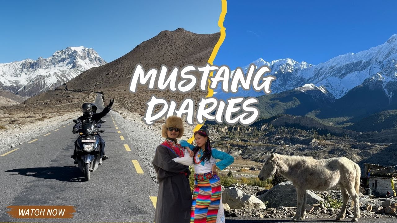 MUSTNAG DAIRIES 