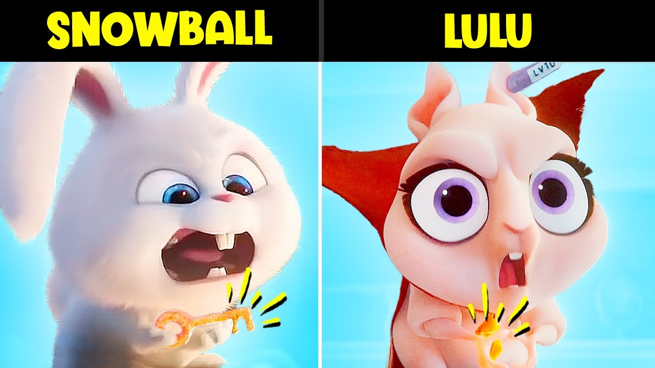 15 Times DC League Of Super-Pets Copied The Secret Life Of Pets