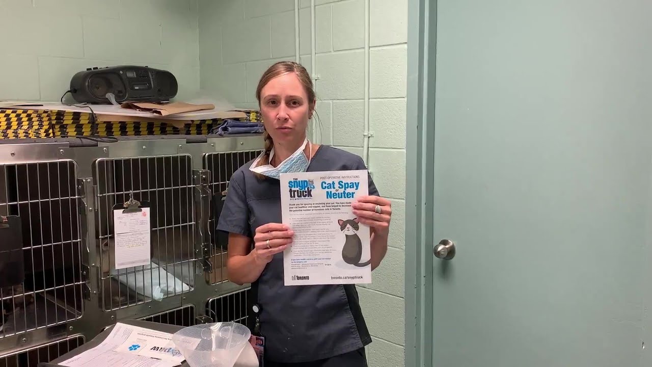 Spay/Neuter Post-Op Care Video