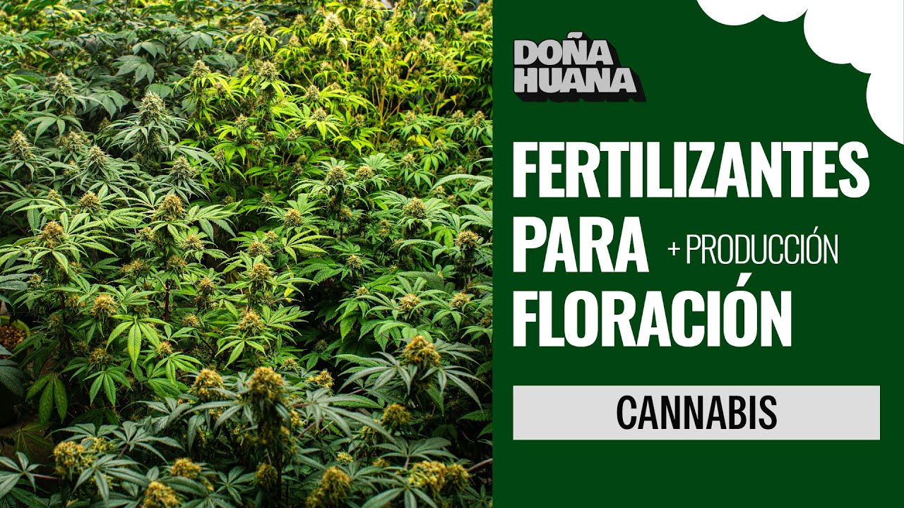 FERTILIZANTES PARA FLORACI&Oacute;N / + PRODUCCION