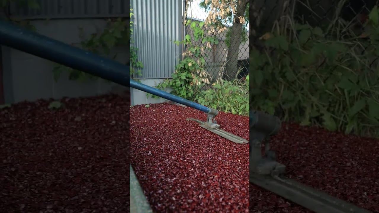 Permeable Pavement In Action
