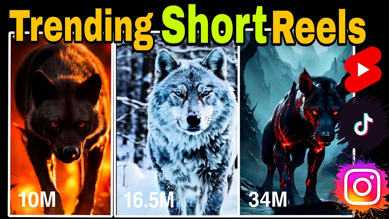 How to Make Short Reels that Go Viral on Instagram, Tiktok and YouTube