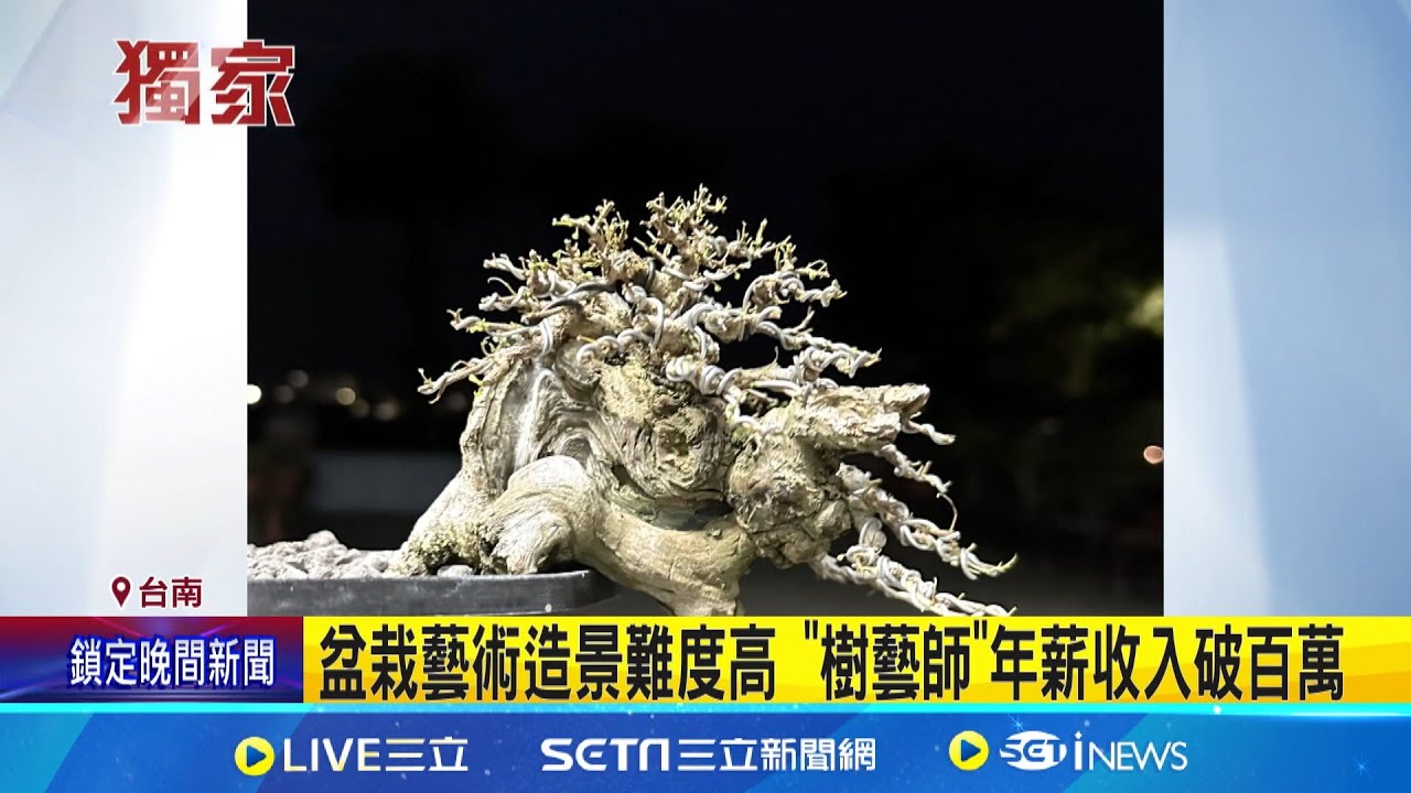 盆栽藝術造景難度高 