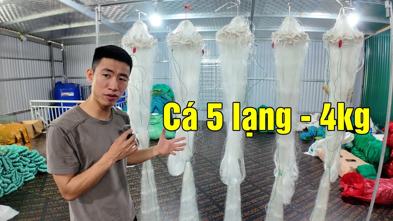 Lưới Thái Trắng 5 lạng - 4kg | Cao 1m5 x 90m x 10cm Sợi 20 #530k || Zalo: 0396.23.9999