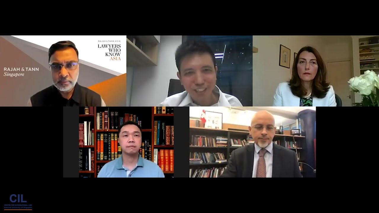Data Privacy and Protection in International Law