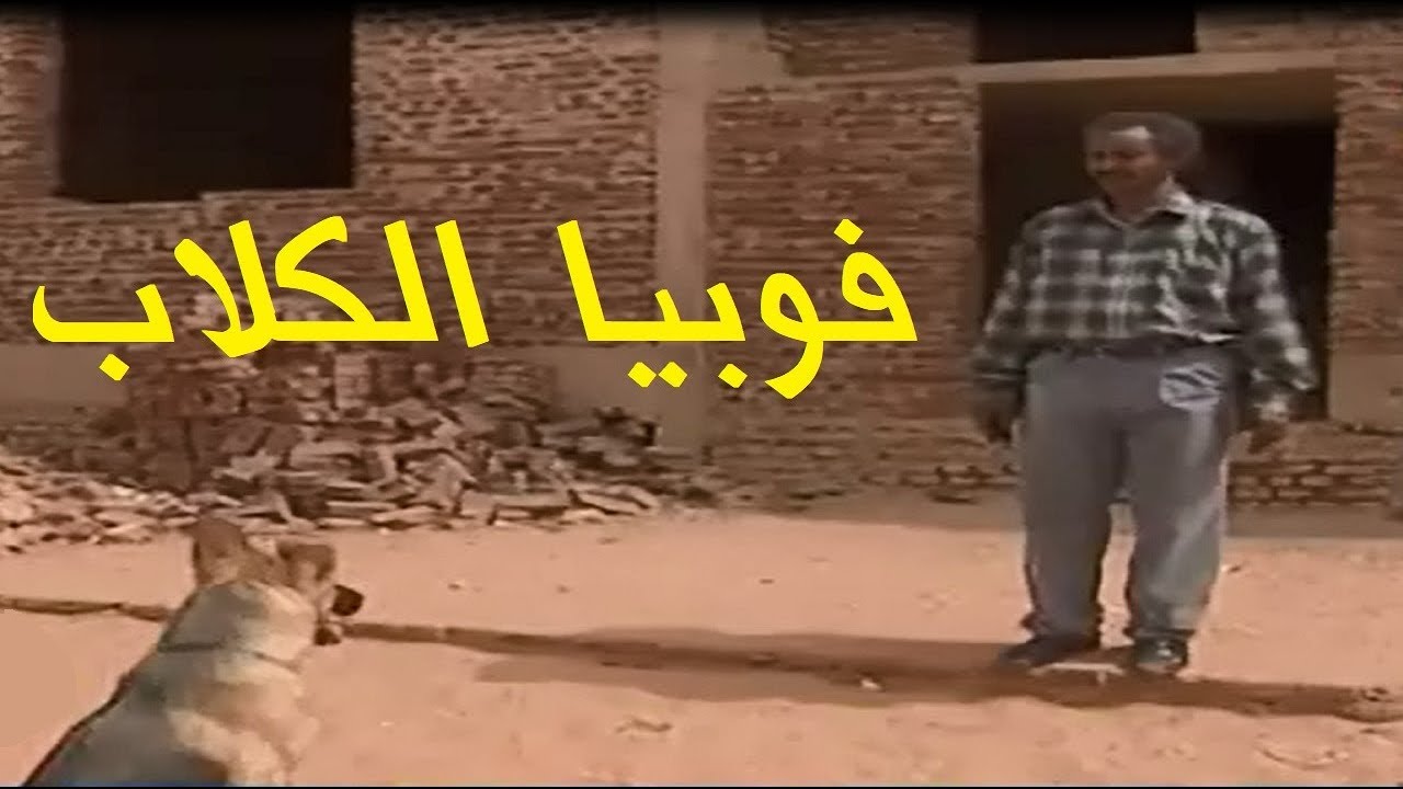 فوبيا الكلاب - دراما سودانية