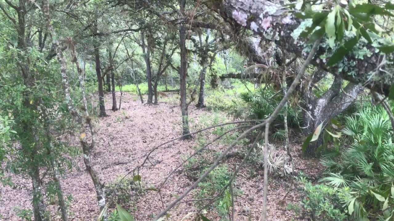 Three Lakes WMA