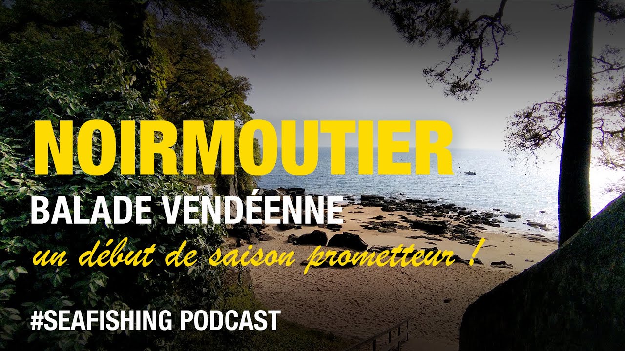Pêche du bar sur l'ile de #Noirmoutier