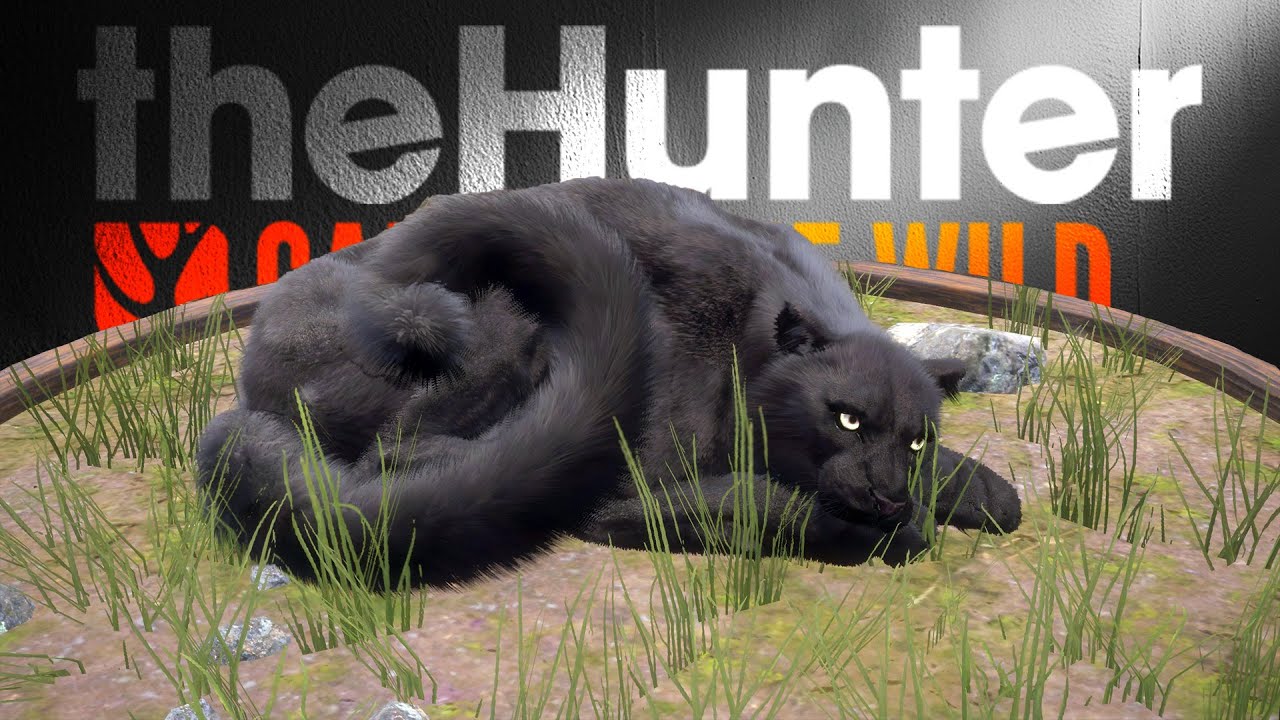 So VIELE Abstrakte TROPHÄEN! - Trophy Lodge React! | theHunter Call of the Wild