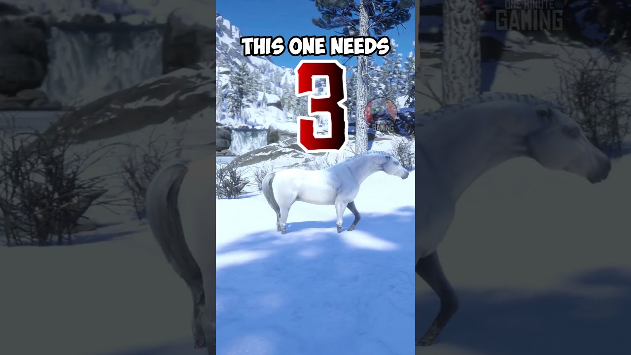 RDR2 - 5 Favorite Horses and Where To Find Them #rdr2 #gaming #arthurmorgan #rdo