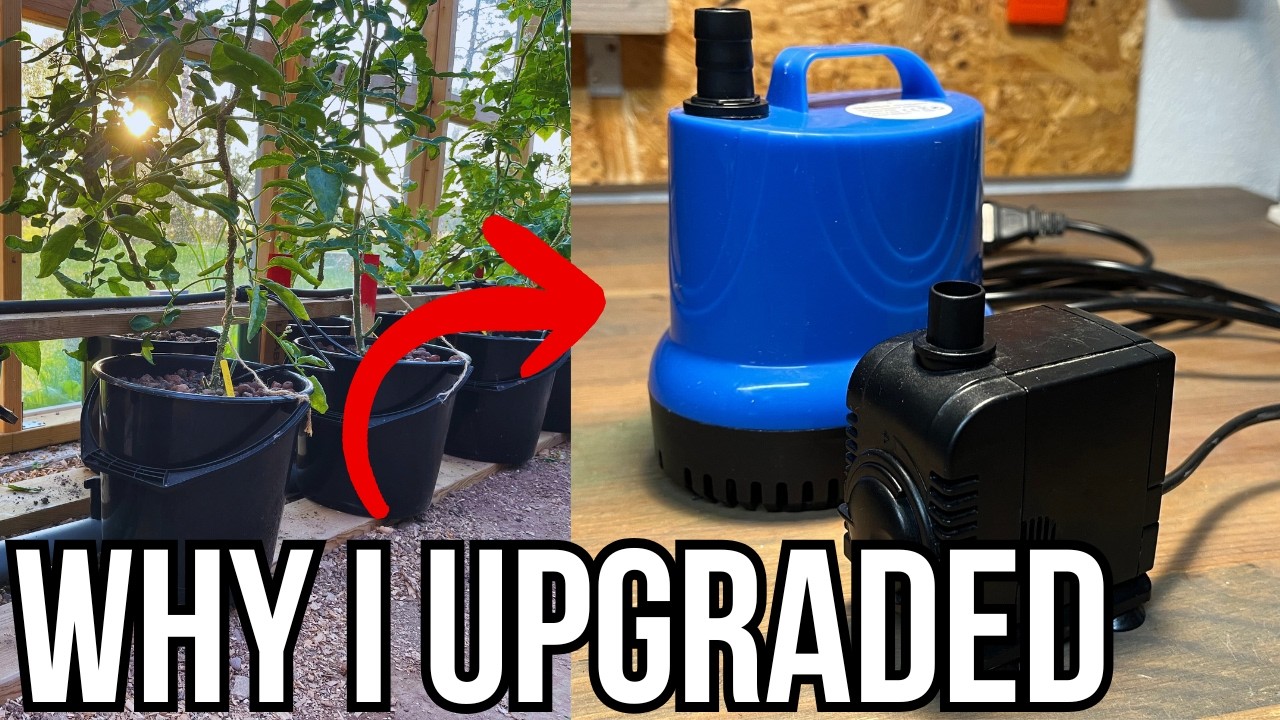 I Upgraded My Dutch Bucket Pump - Here's Why