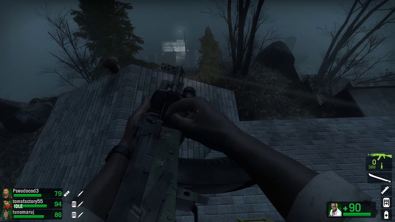 Left 4 Dead 2 MP#238