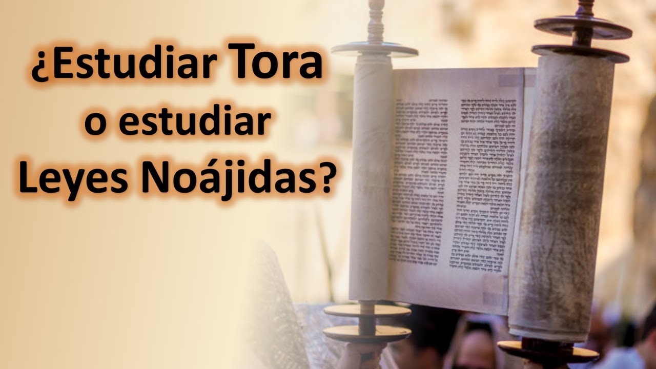 Un no&aacute;jida debe estudiar Tora o solo las Leyes No&aacute;jidas?