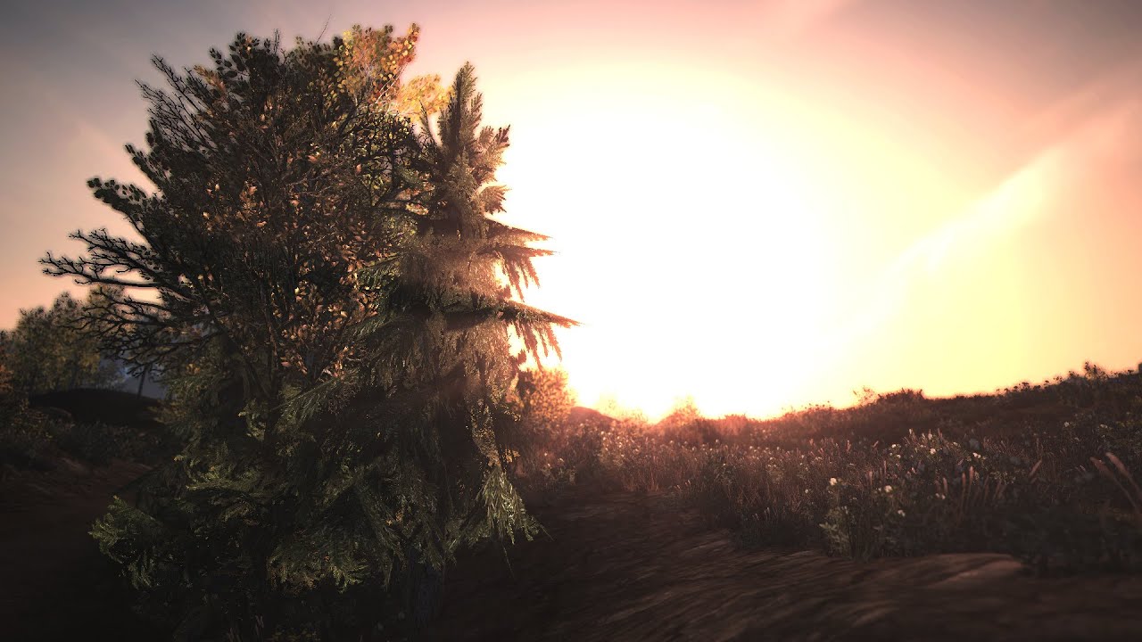 Morrowind Symphony Video part 2