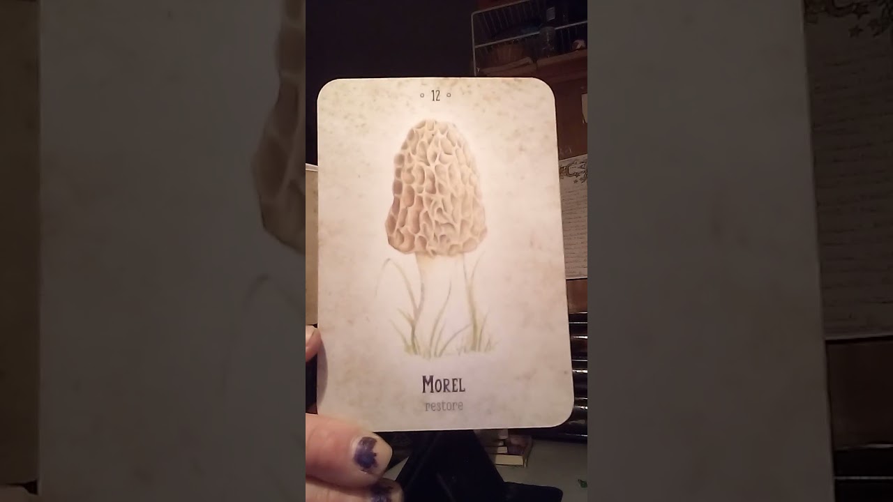 PISCES ♓ March 2026 Card Pull!!!