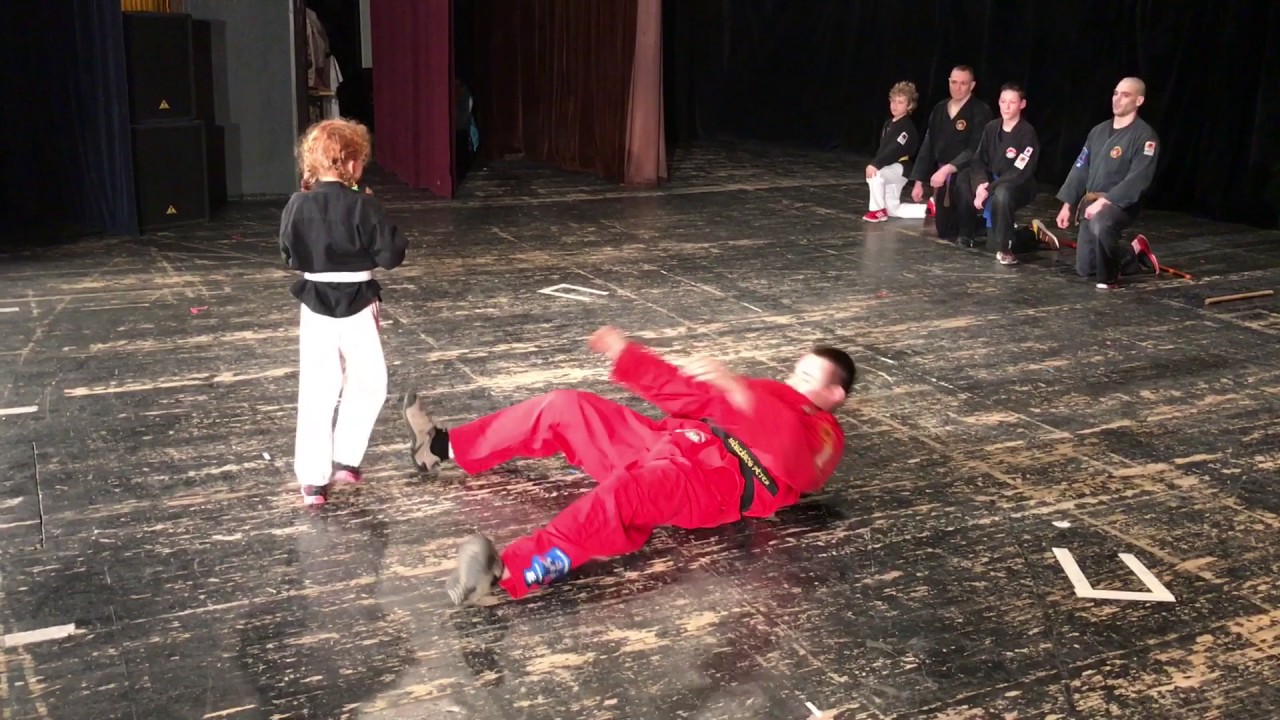 2017. márc. 5 Vác Zen Bu Kan Kempo bemutató Cam1