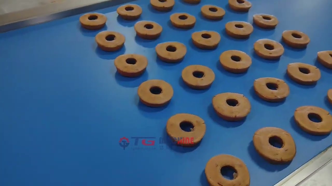 How to Make Cake? Let's See TGmachine™ Cake Line in Customer's Factory Running Video!