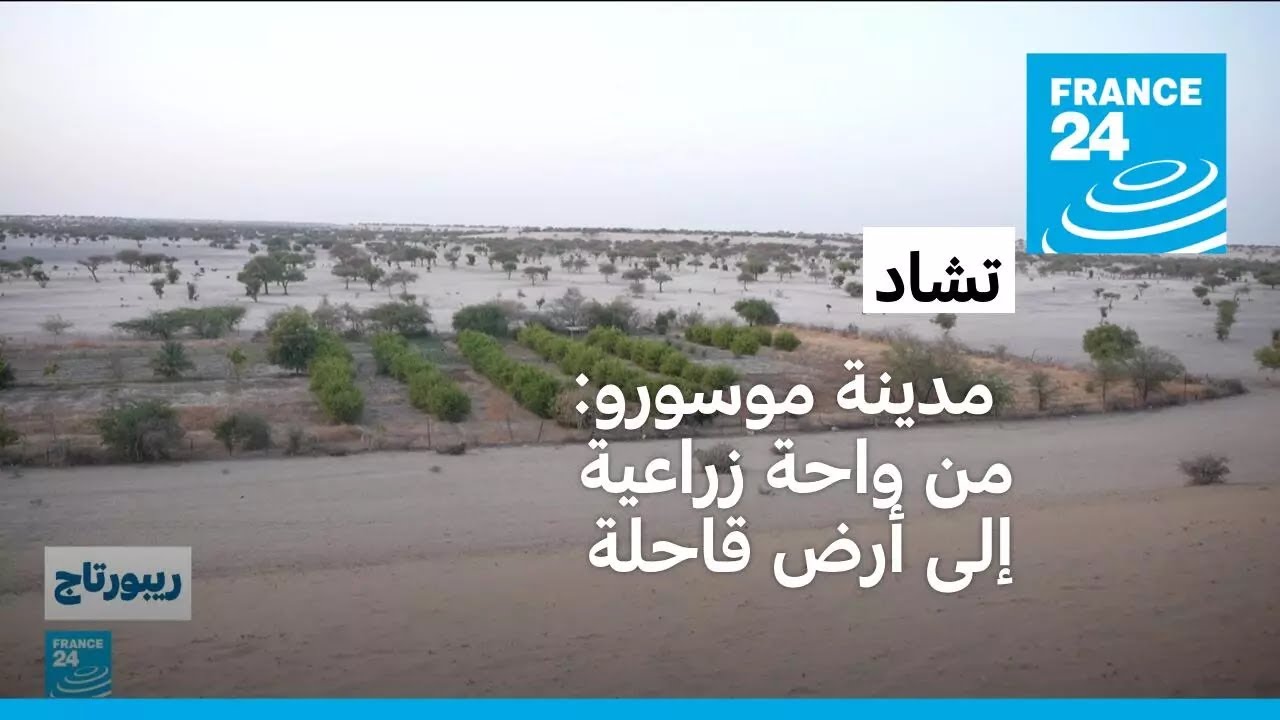 تشاد: من واحة زراعية إلى أرض قاحلة..  مدينة موسورو تواجه آثار التغير المناخي