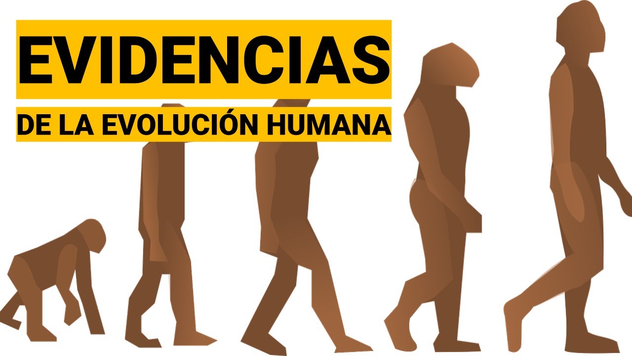 EVIDENCIAS BIOLÓGICAS Y CULTURALES DE LA EVOLUCIÓN HUMANA