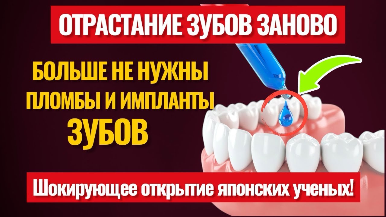 Новое открытие японского учёного: зубы снова растут, как в детстве, без имплантов