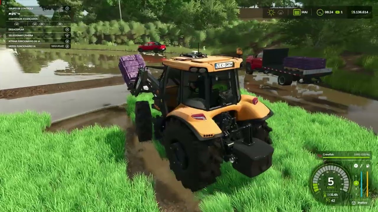 fs 25  coloquei filhotes de lagosta na plantacao de arroz no rancho fundo