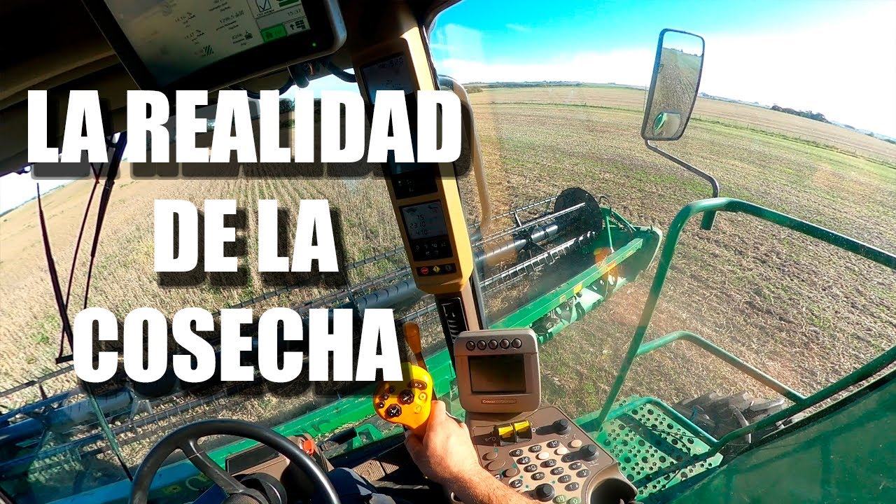 La cosecha desde adentro - Cosecha soja #3