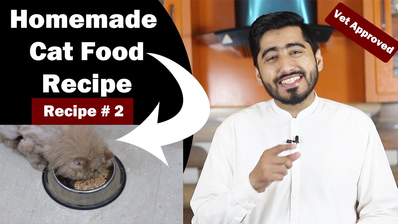 Healthy- Homemade Cat Food | Cheap Recipe | Balanced Diet | Persian Diet | Vet Furqan Younas
