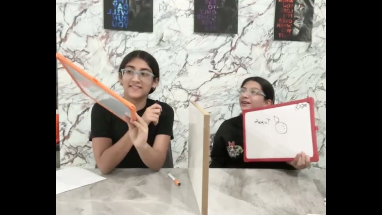 Sisters twin telepathy drawing challenge! 