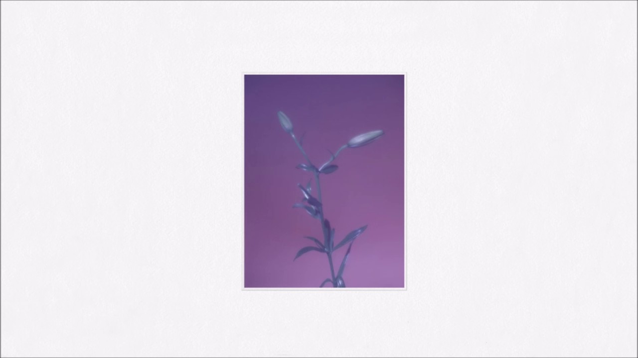 Wet - It's All In Vain (Instrumental)
