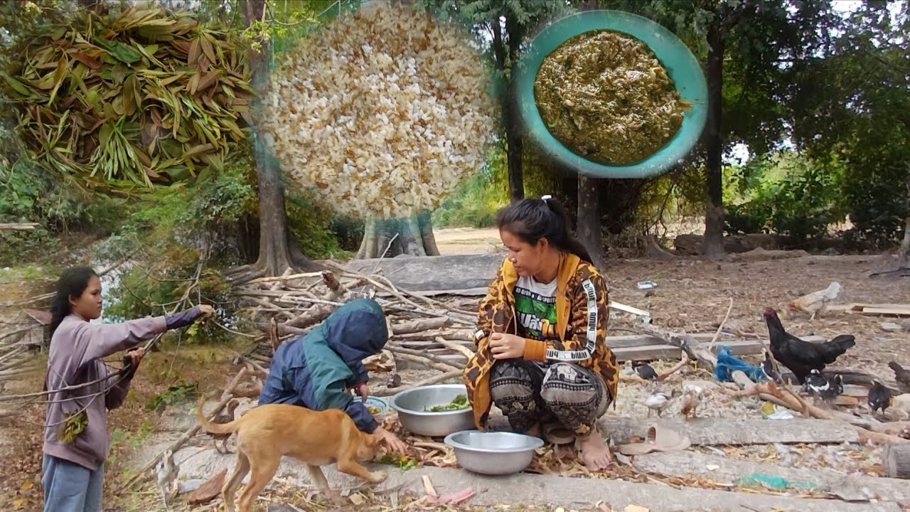 3 กุมภาพันธ์ ค.ศ. 2026