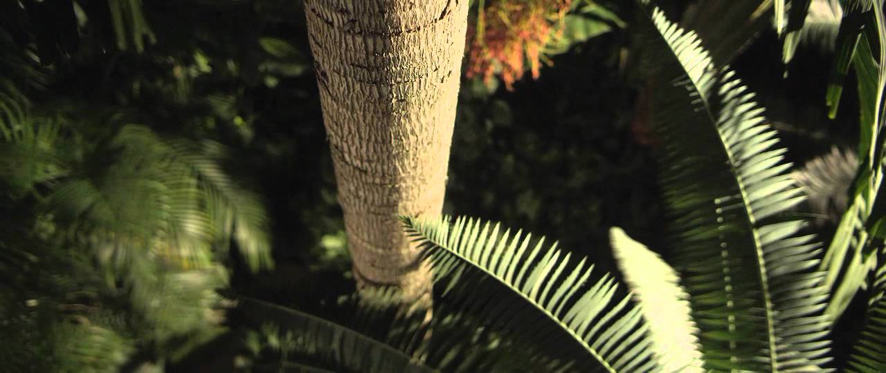 Longwood Gardens