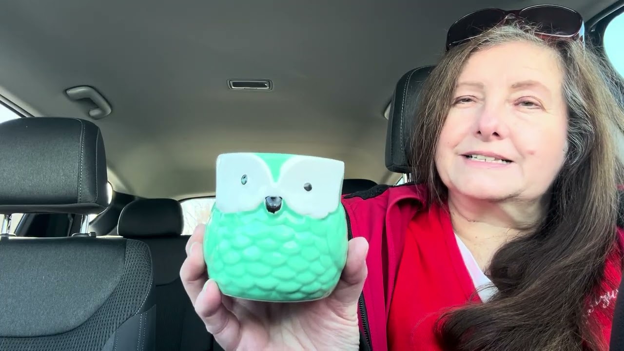 Dollar Tree 🌲 Car Haul