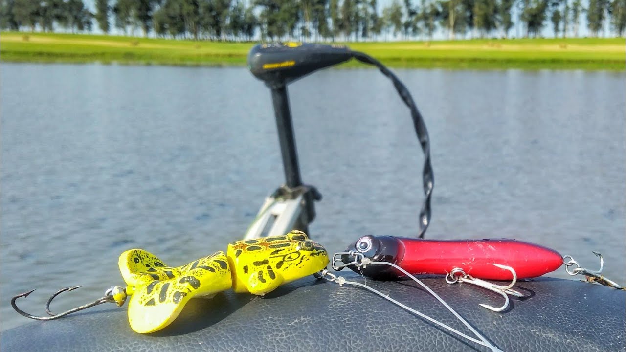 ISCA NAKAMURA zig zarinha 90 e buzz n frog rebel  pancadaria na superficie pescaria de tra&iacute;ra