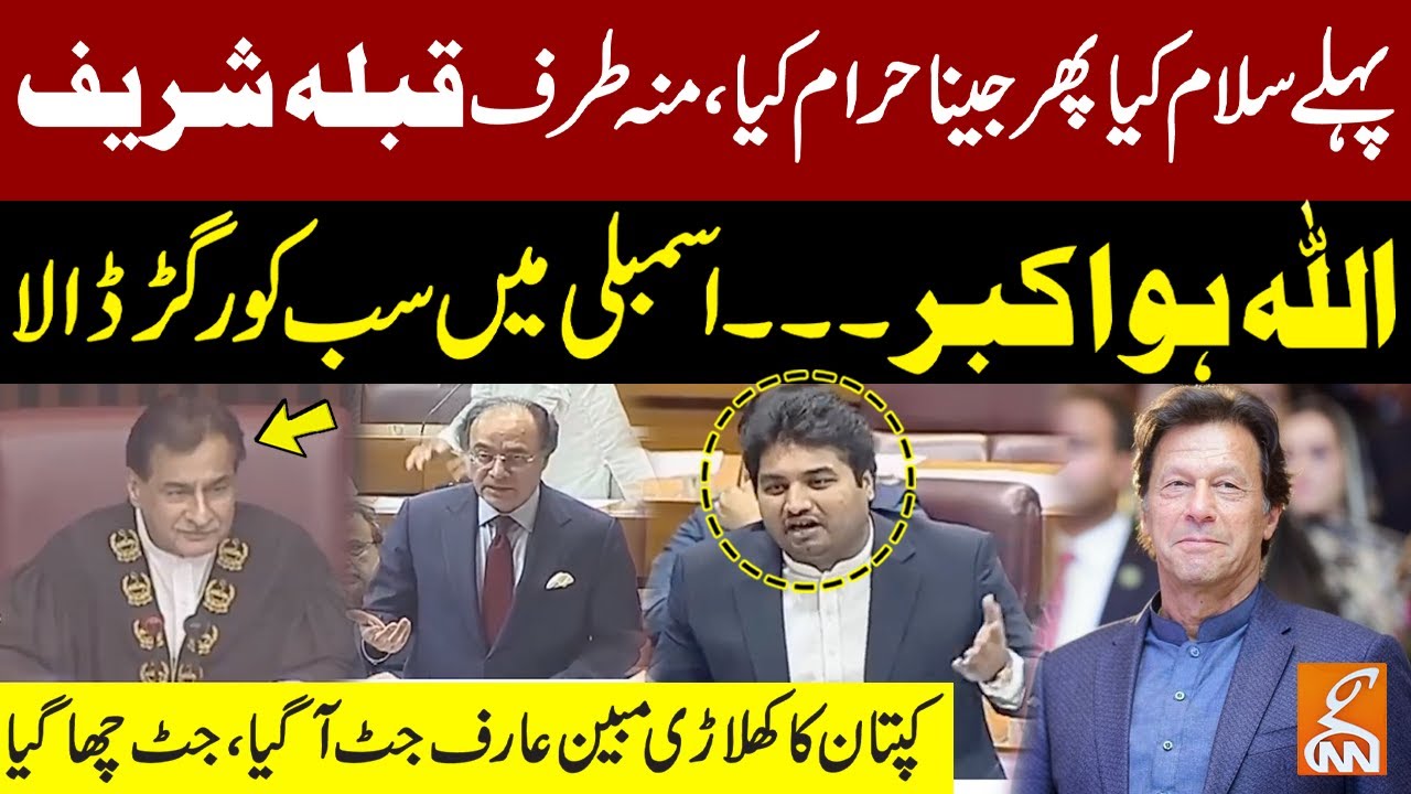 PTI MNA Mubeen Arif Blasting Speech In National Assembly |  Mubeen Arif Jutt Speech in Punjabi | GNN