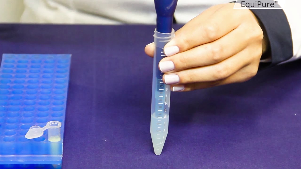 How to Use EquiPure for Sperm Selection