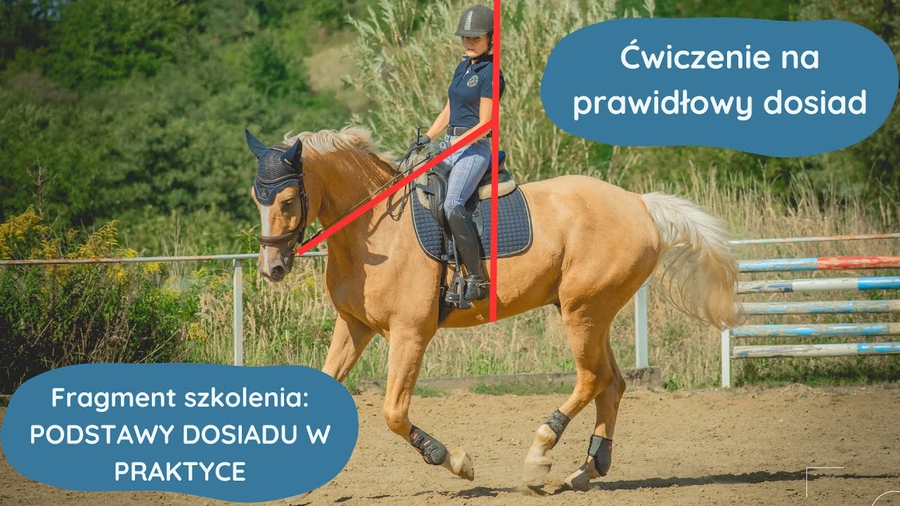 Ćwiczenie na prawidłowy dosiad - fragment szkolenia  