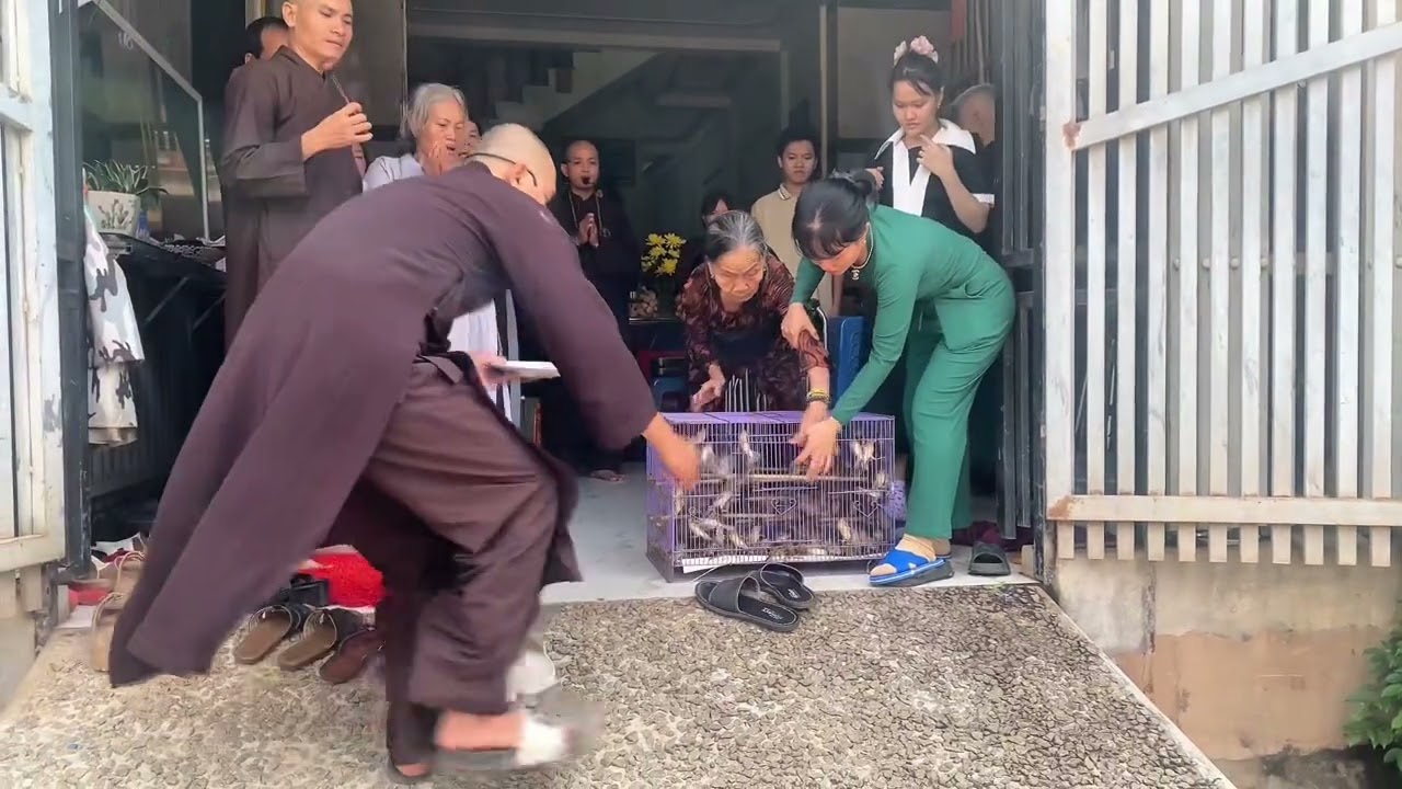 LỄ NIỆM PHẬT VÀ PHÓNG SANH TRI ÂN ÔNG BÀ CHA MẸ NHÀ CÔ QUẢNG THẢO