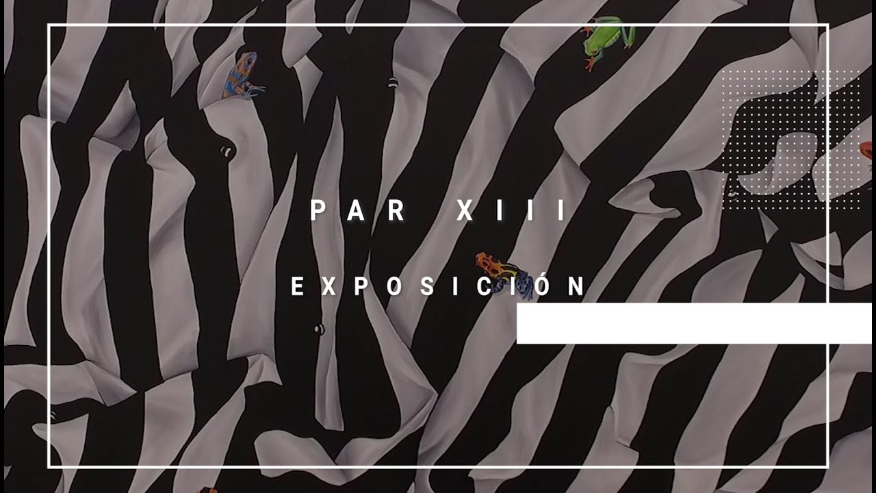Directo al Patrimonio - Exposición: Par XIII. Una nueva percepción