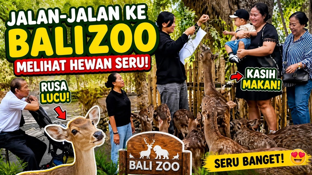 MELIHAT BINATANG DI BALIZOO